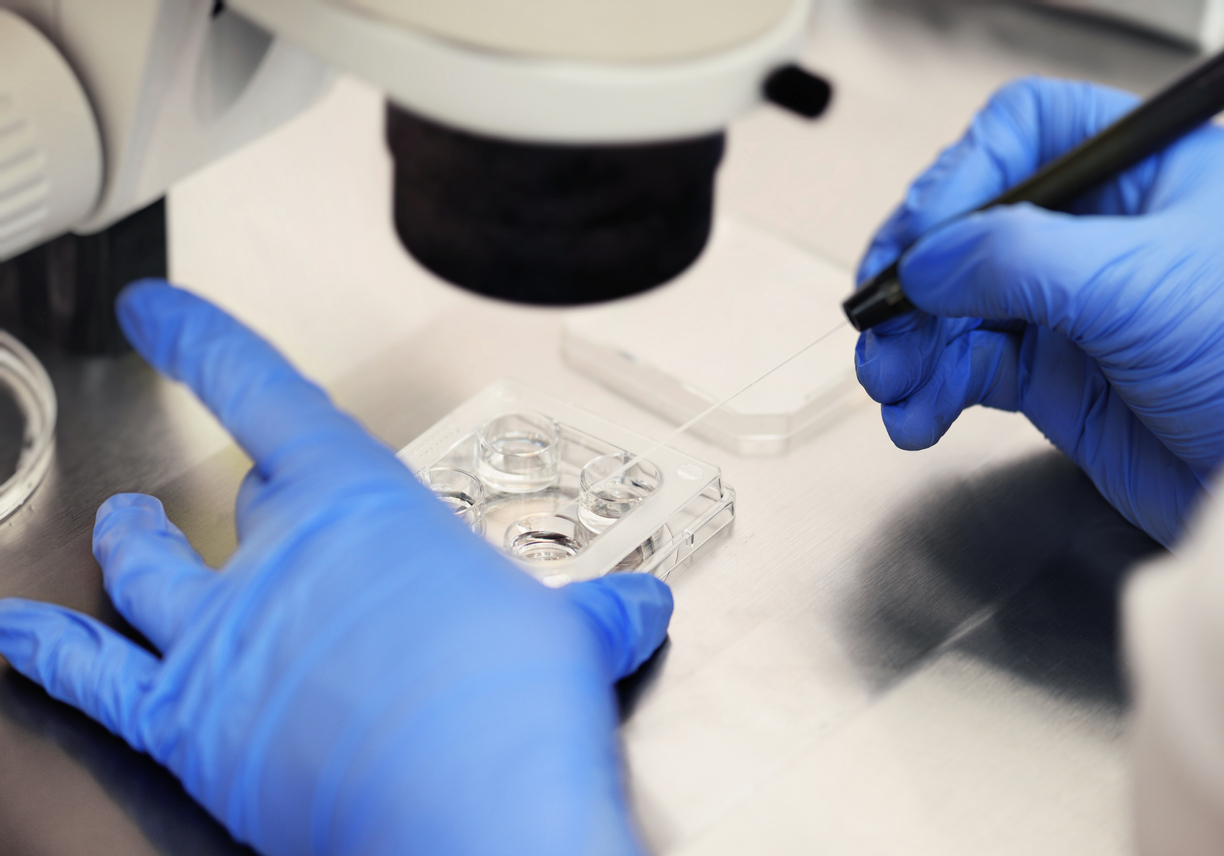 IVF vs IUI: What’s The Difference?